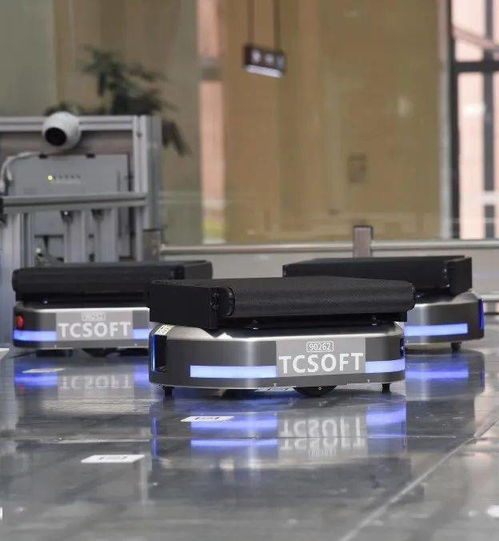 盤點生態城旅游打卡 十宗最 ,不信你都去過